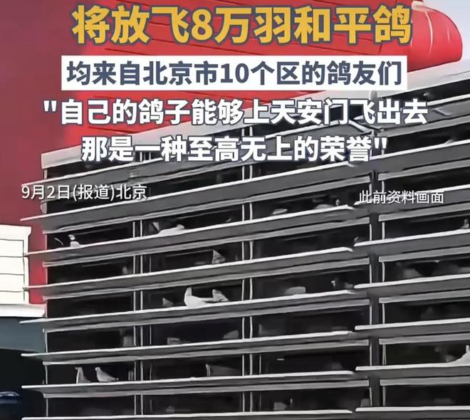 ”的关在特殊笼子放飞有的已经到家了瓦力娱乐棋牌8万羽和平鸽都是“借来(图2)
