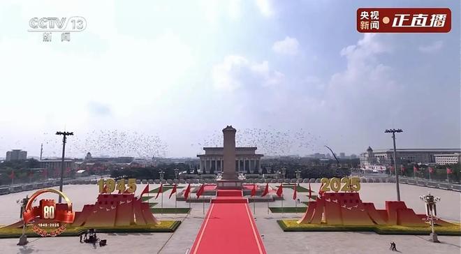 ”的关在特殊笼子放飞有的已经到家了瓦力娱乐棋牌8万羽和平鸽都是“借来